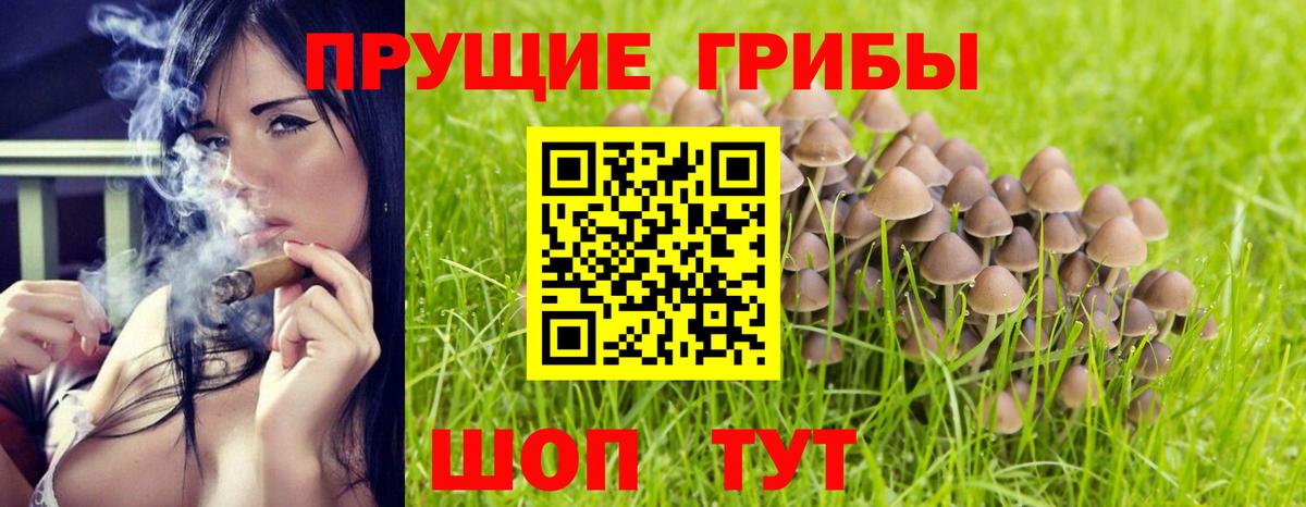 Галлюциногенные грибы ЛСД  Псилоцибиновые грибы Psilocybine cubensis  Вход с VPN  Волжский 